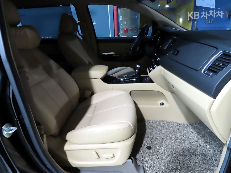 2019 - kia carnival