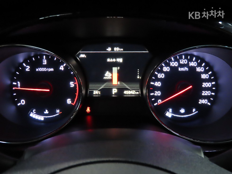 2019 - kia carnival