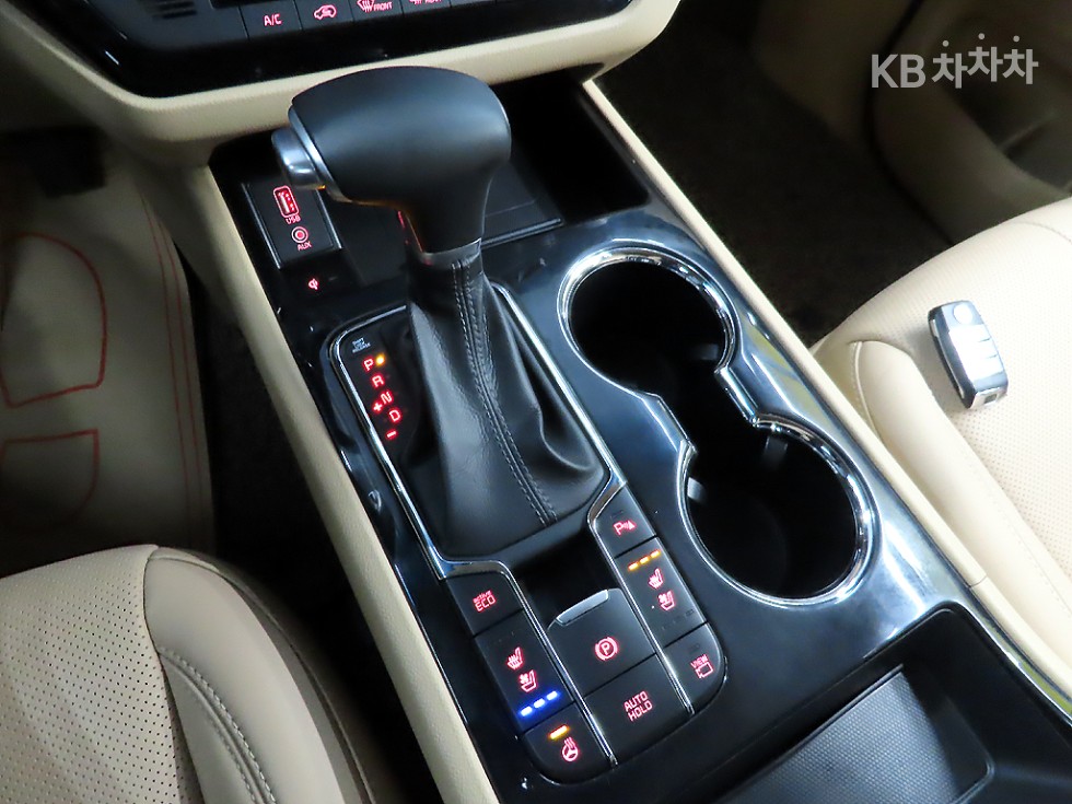 2019 - kia carnival