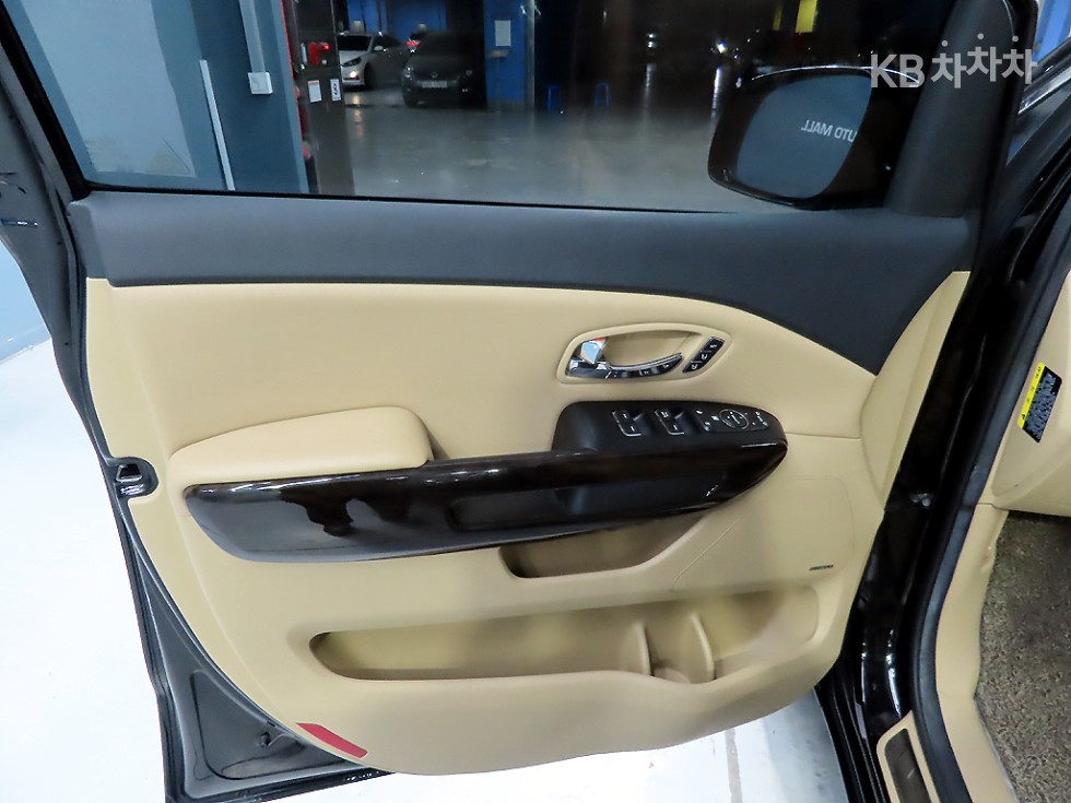 2019 - kia carnival