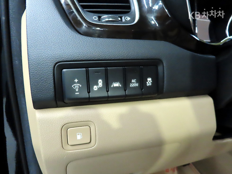 2019 - kia carnival