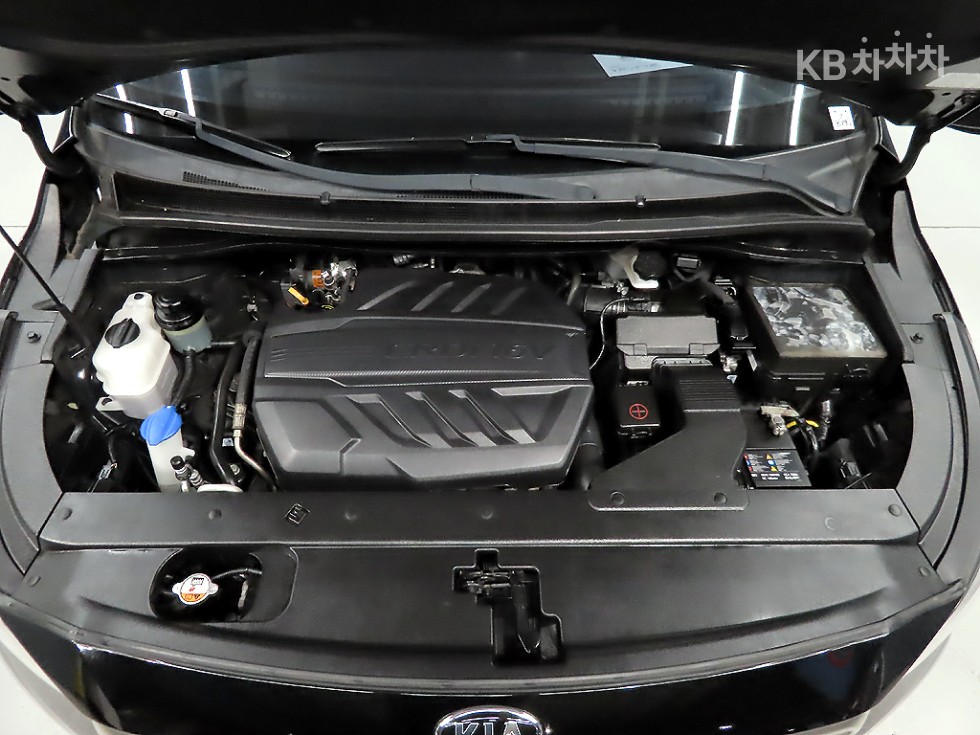 2019 - kia carnival