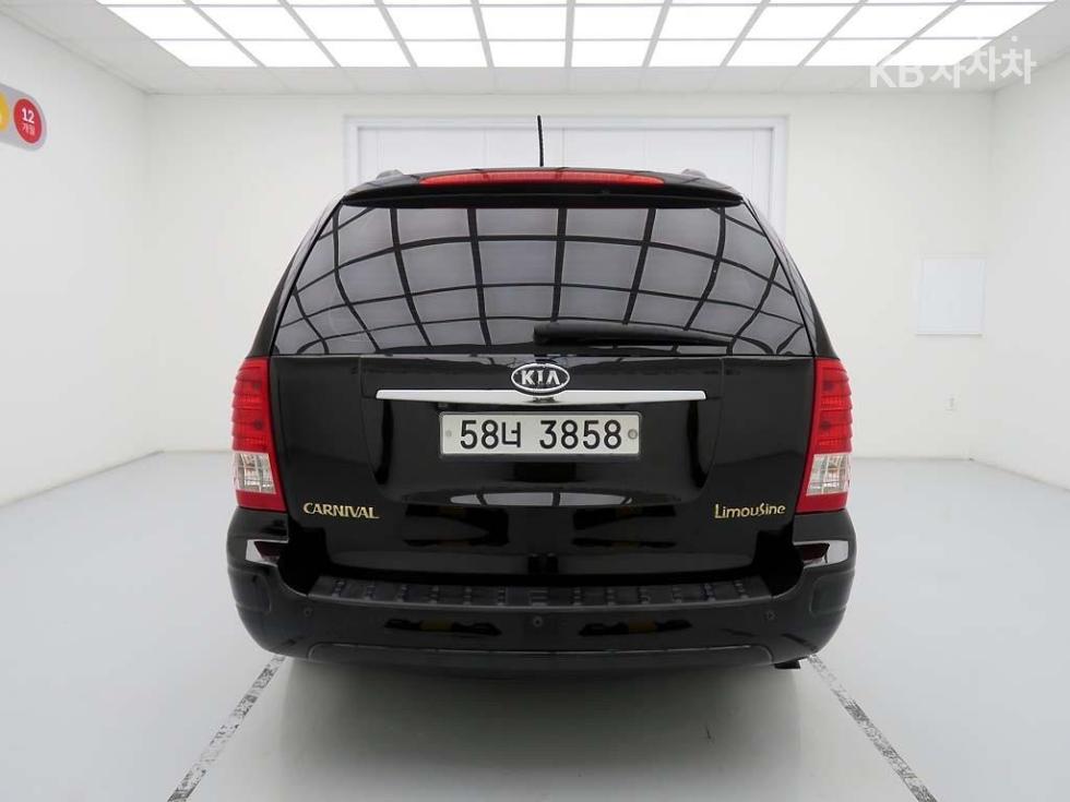 2010 - kia carnival