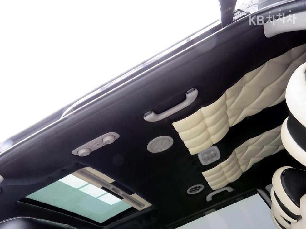 2010 - kia carnival