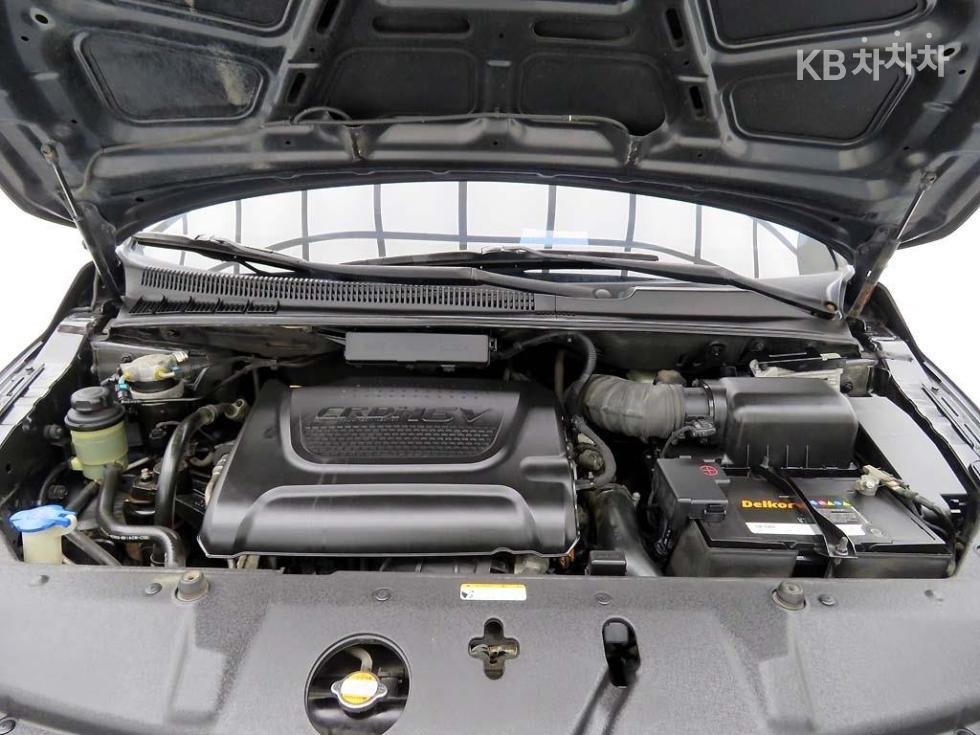 2010 - kia carnival
