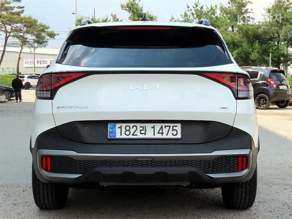 2024 - kia sportage