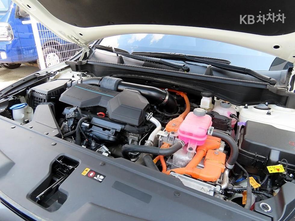 2024 - kia sportage
