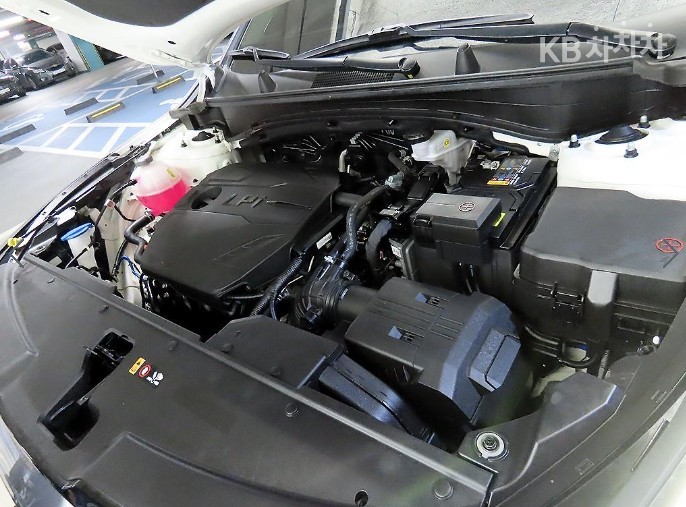 2024 - kia sportage