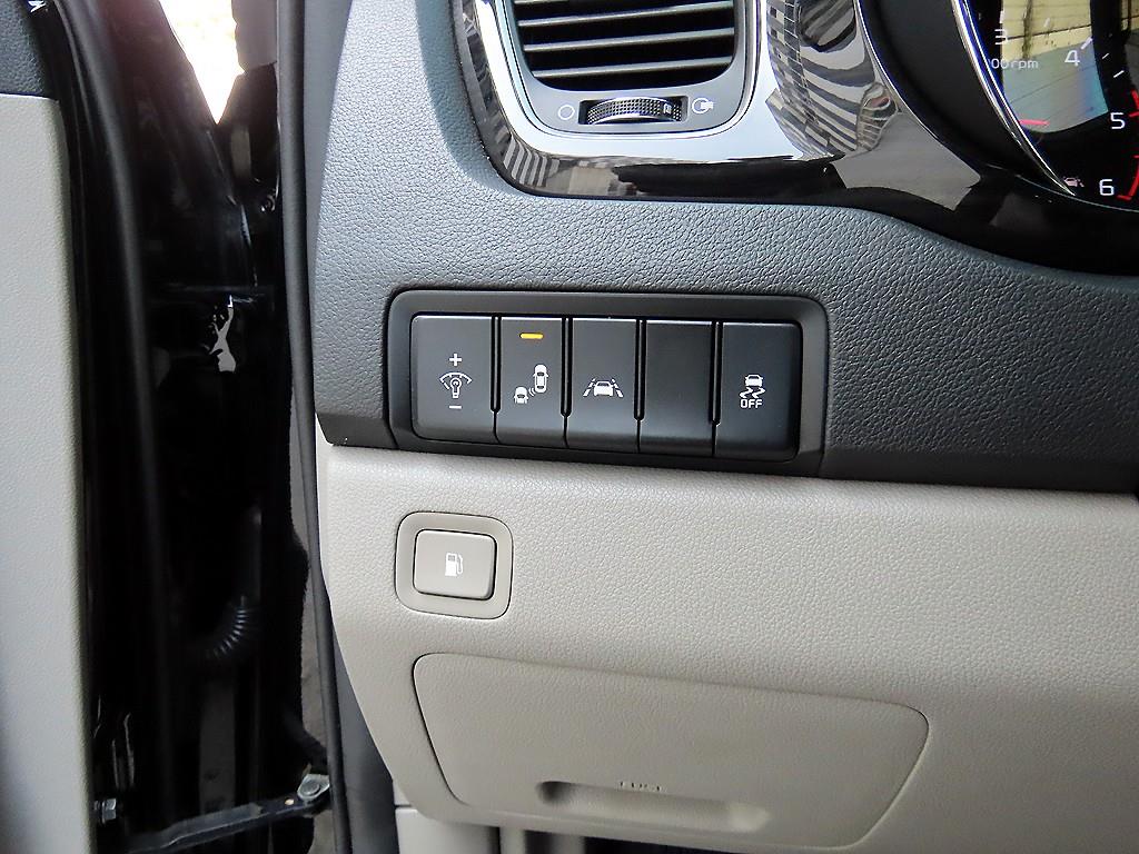 2019 - kia carnival