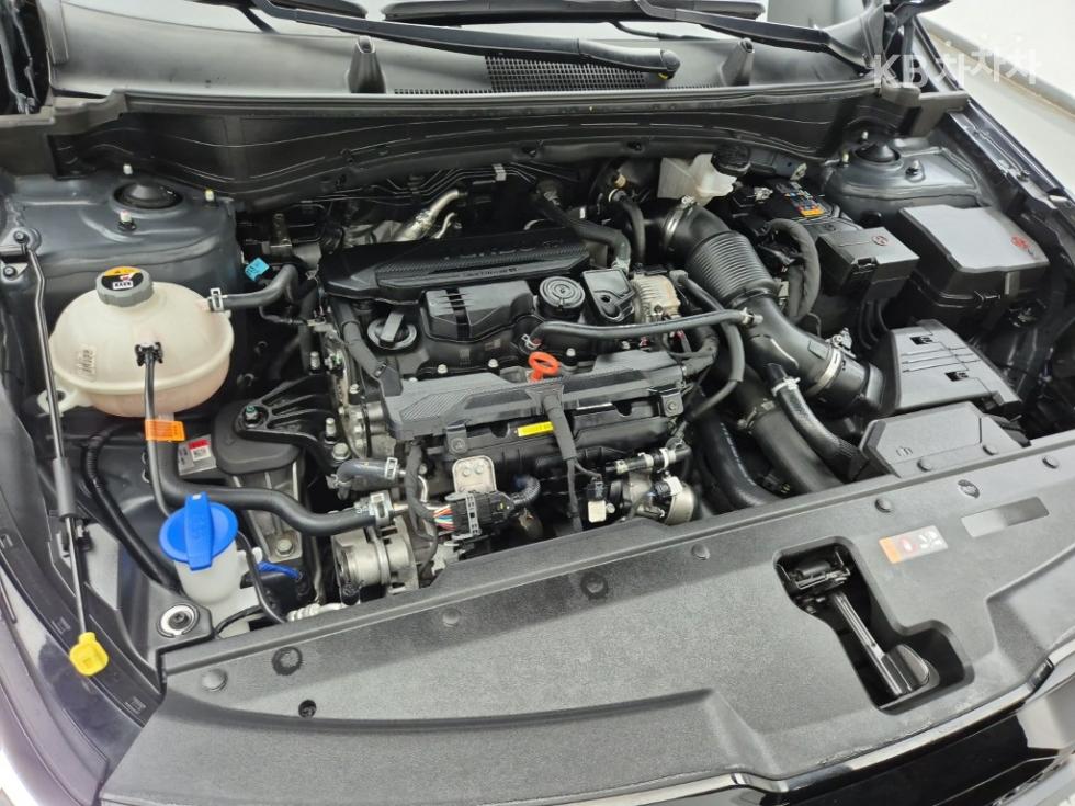 2024 - kia sportage