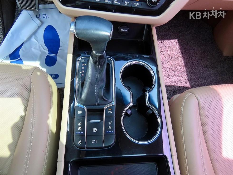 2019 - kia carnival