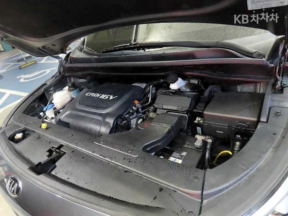 2017 - kia carnival