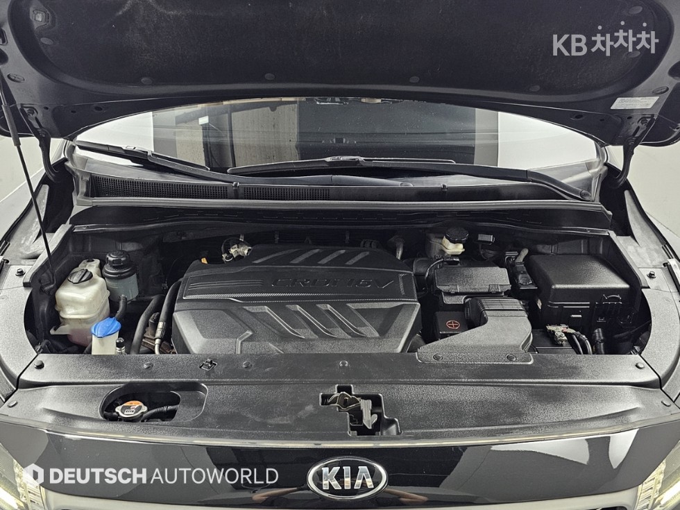 2019 - kia carnival