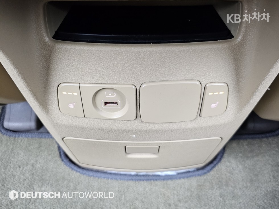 2019 - kia carnival