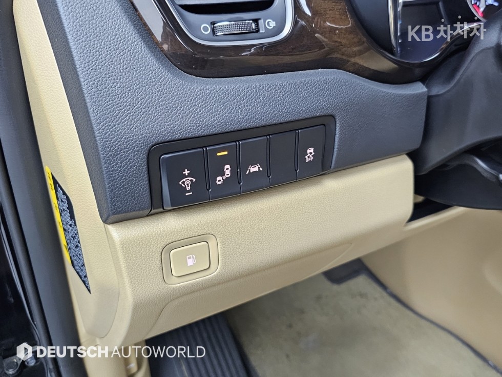 2019 - kia carnival