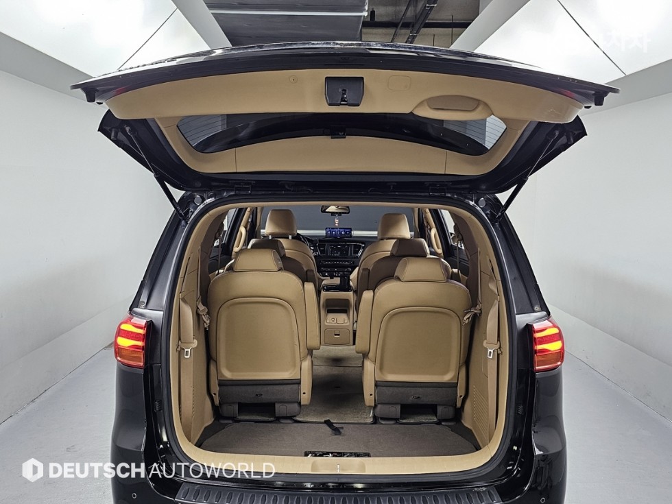 2019 - kia carnival