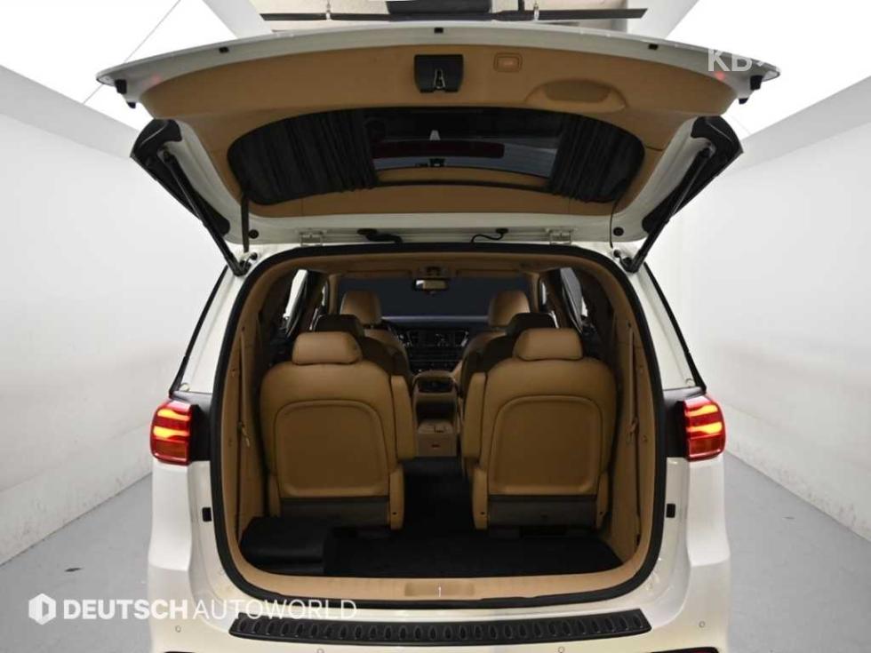 2019 - kia carnival