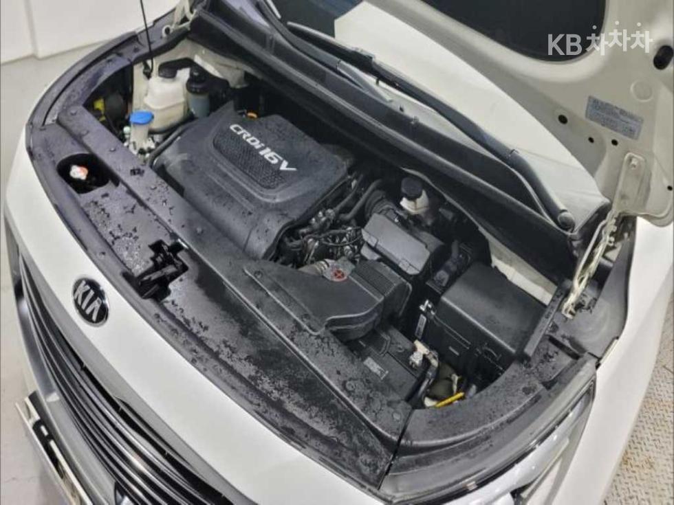 2018 - kia carnival