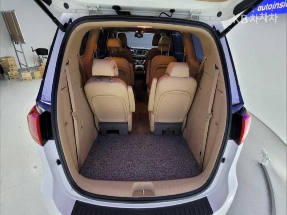 2018 - kia carnival