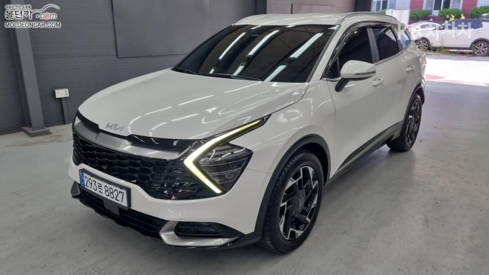 2023 kia sportage