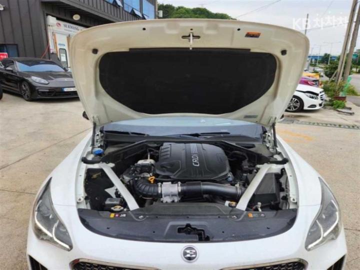 Kia Stinger 2.2 Diesel 2WD Platinum 7