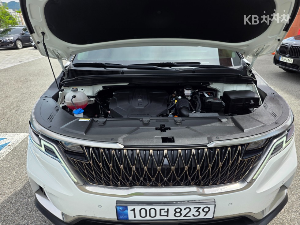 Kia Carnival — miniaturë 19