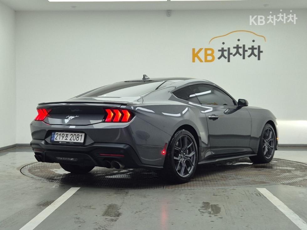 2024 Ford Used Car photo