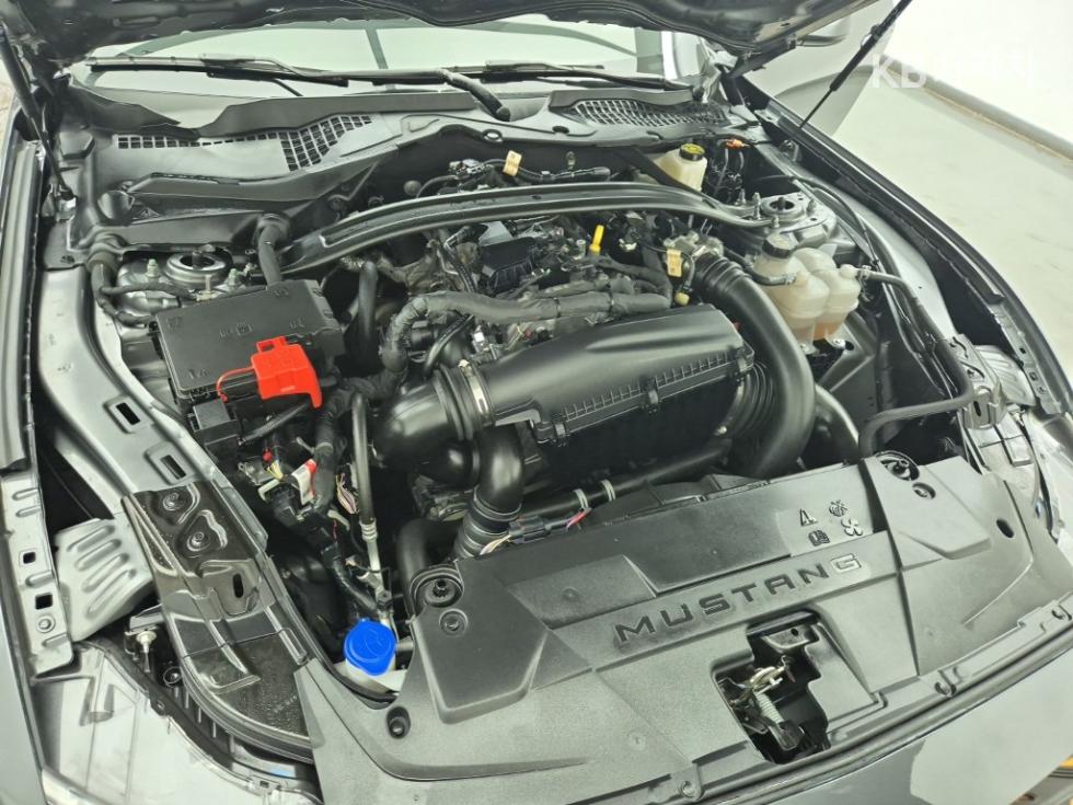 2024 Ford Used Car photo