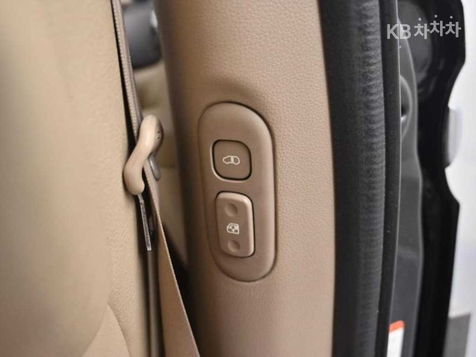 2010 - kia grand carnival