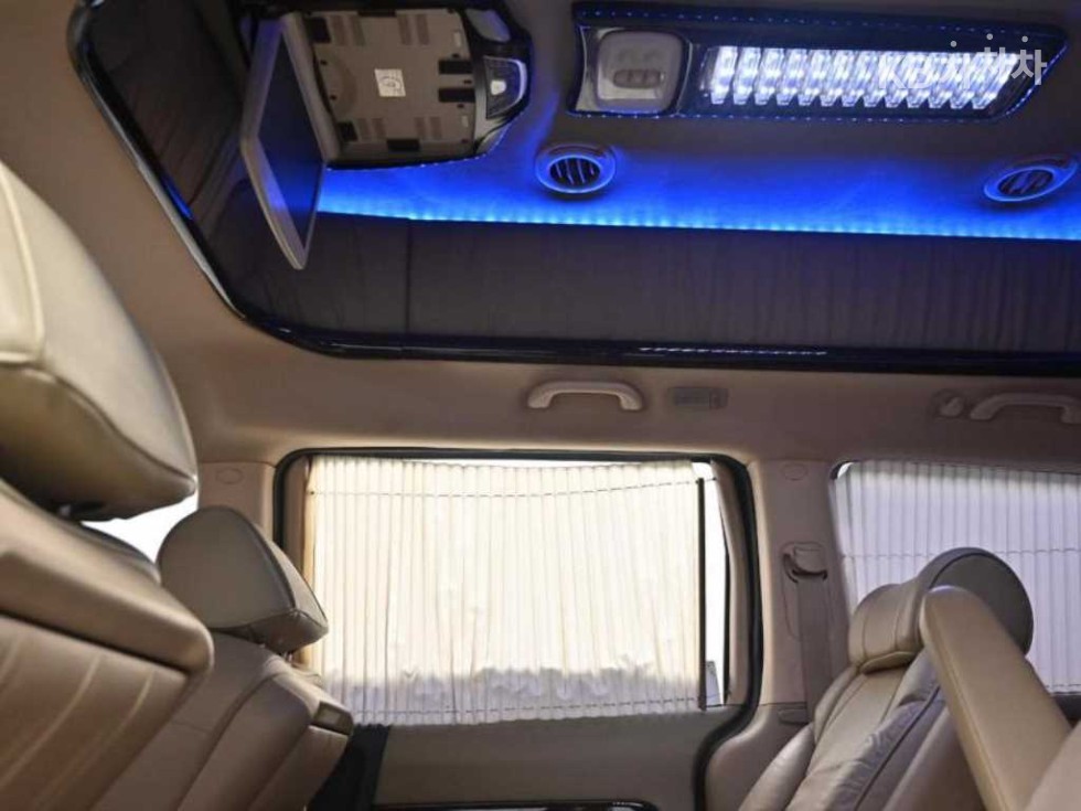 2010 - kia grand carnival
