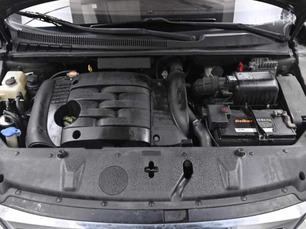 2010 - kia grand carnival