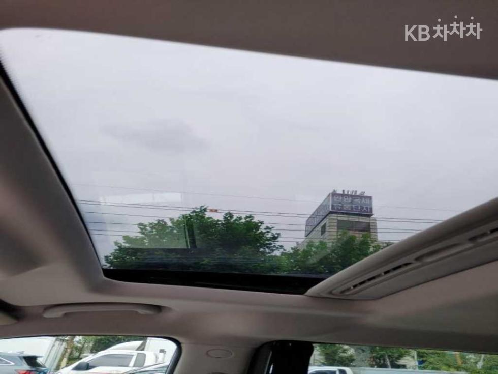2013 - kia carnival