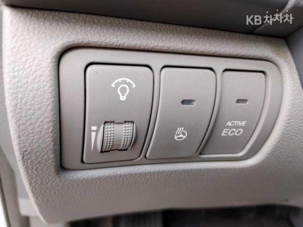 2013 - kia carnival