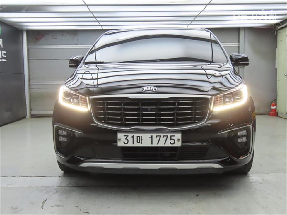 2019 - kia carnival