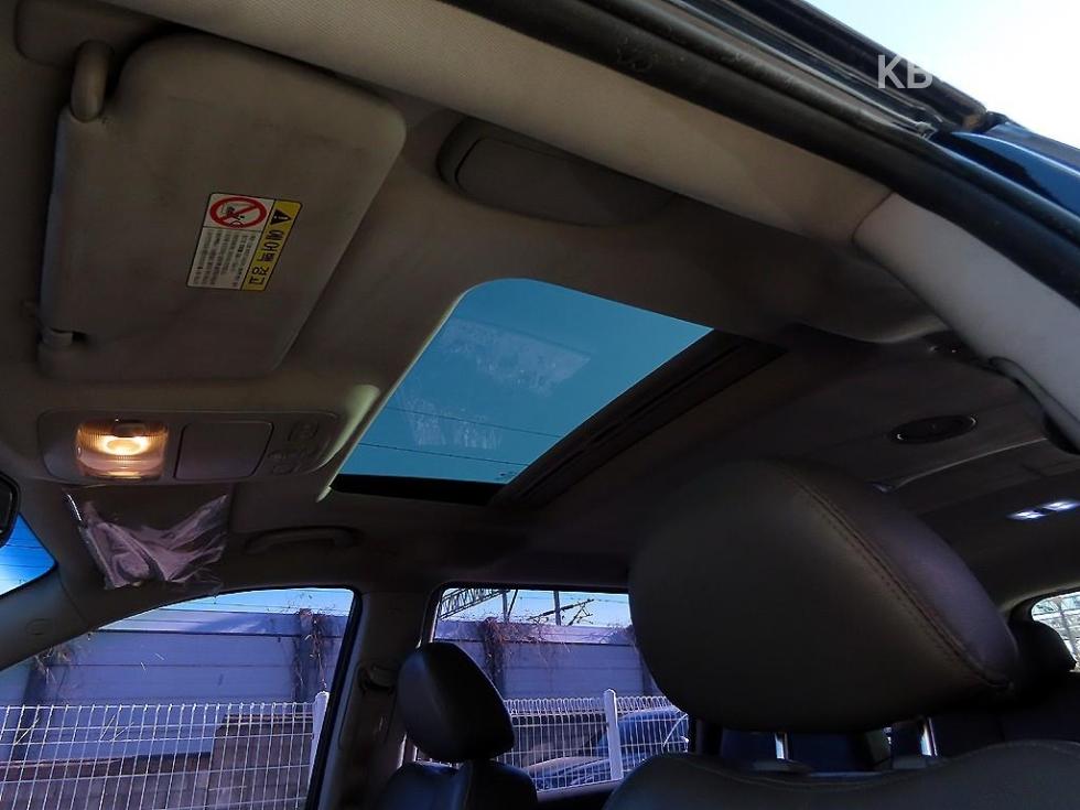 2011 - kia carnival