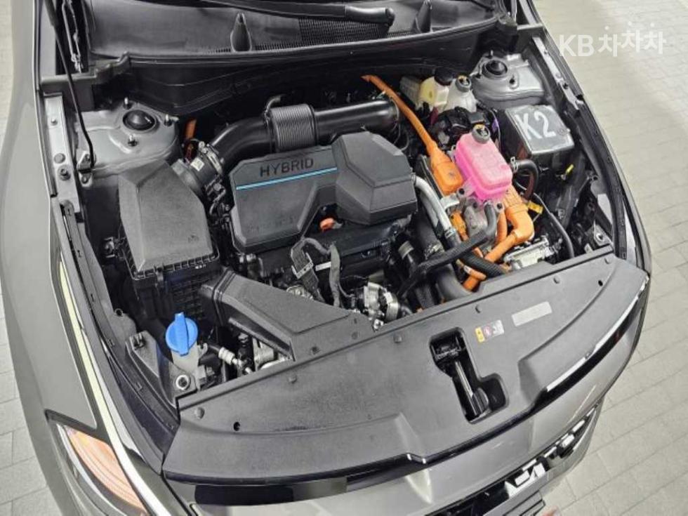 2024 - kia sportage