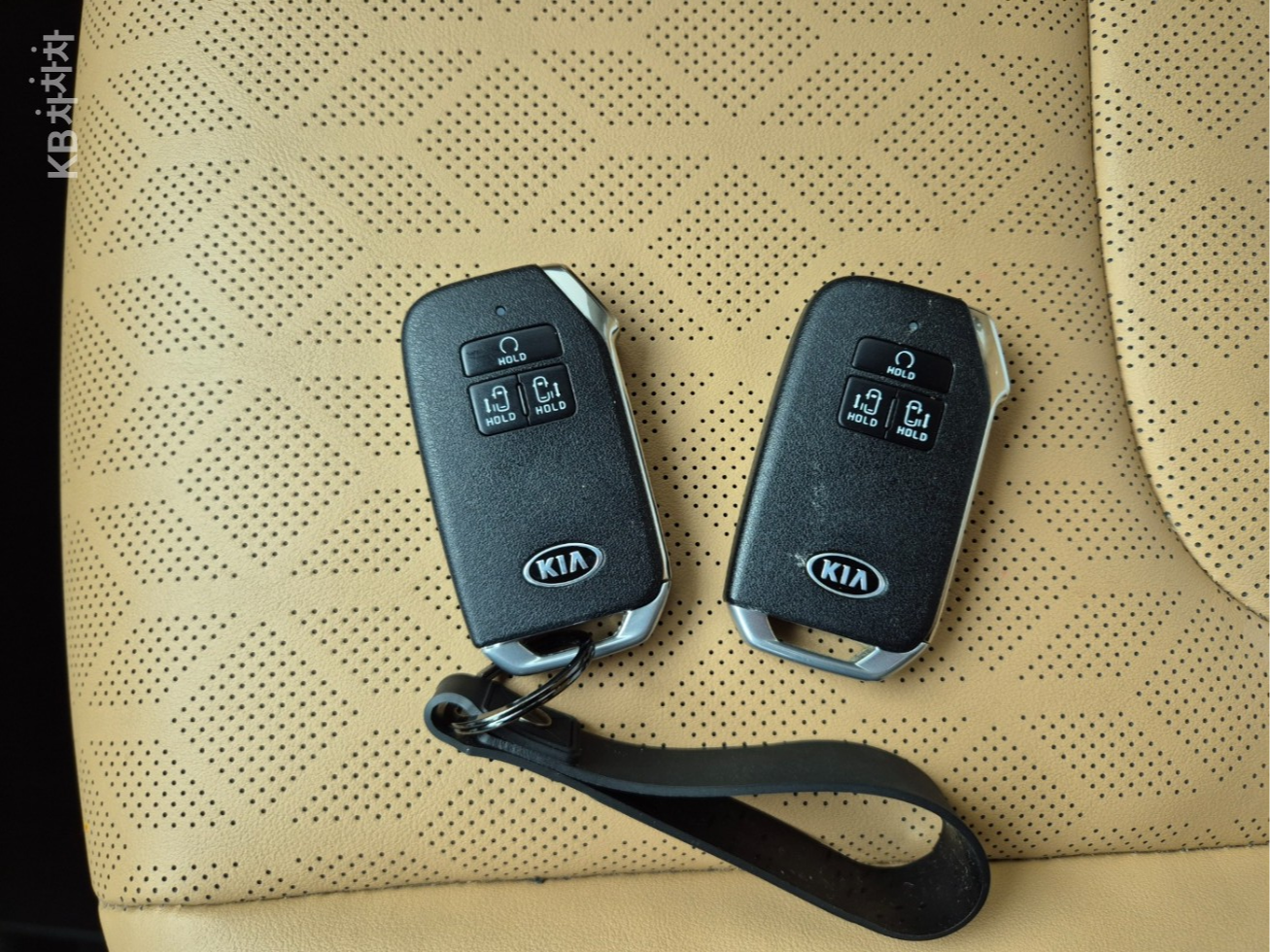 2021 - kia carnival