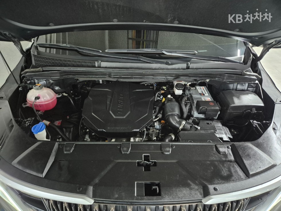 2021 - kia carnival