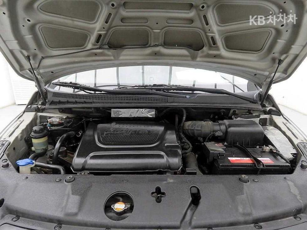 2011 - kia carnival