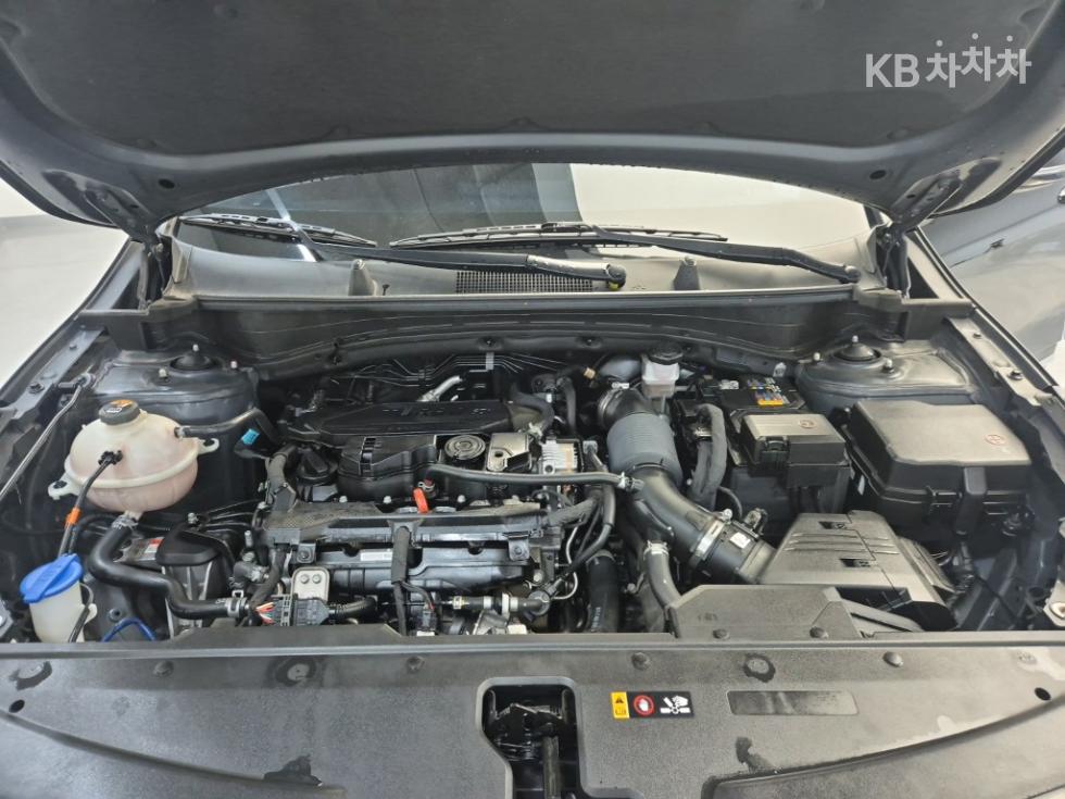 2023 - kia sportage