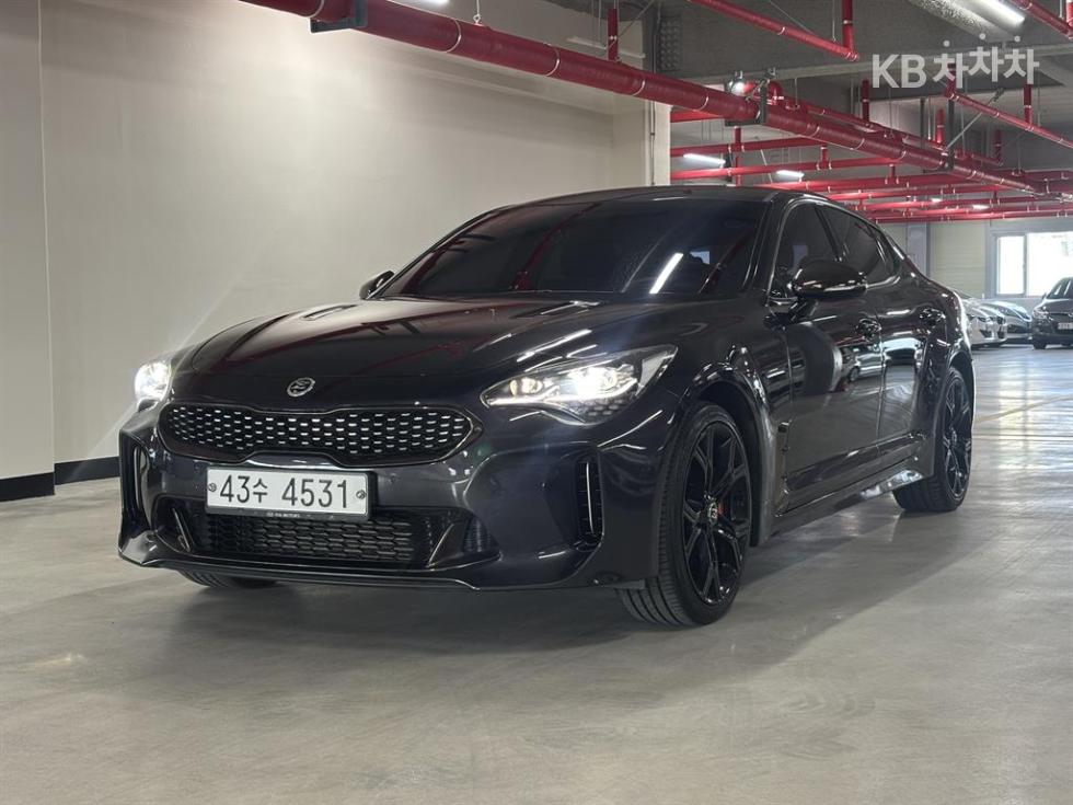 Kia 스팅어 2.0 터보 4WD 플래티넘 - фото 1