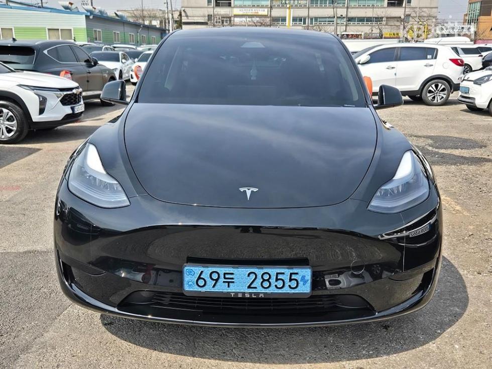 테슬라 Model Y