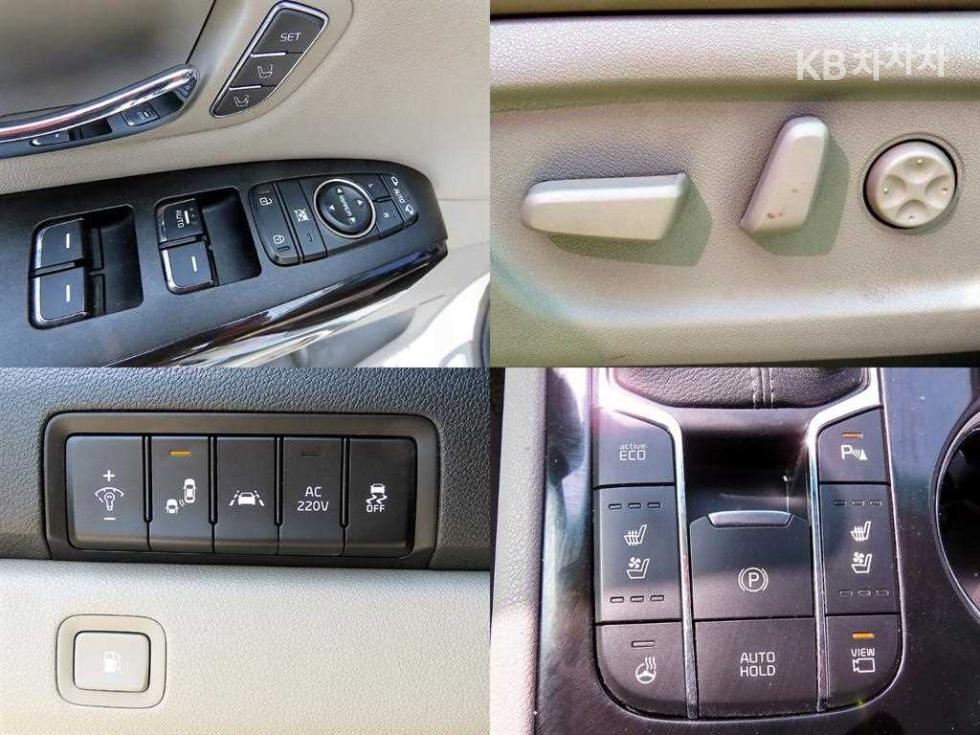 2019 - kia carnival