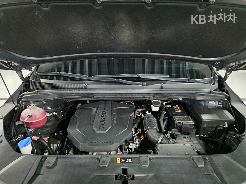 2021 - kia carnival