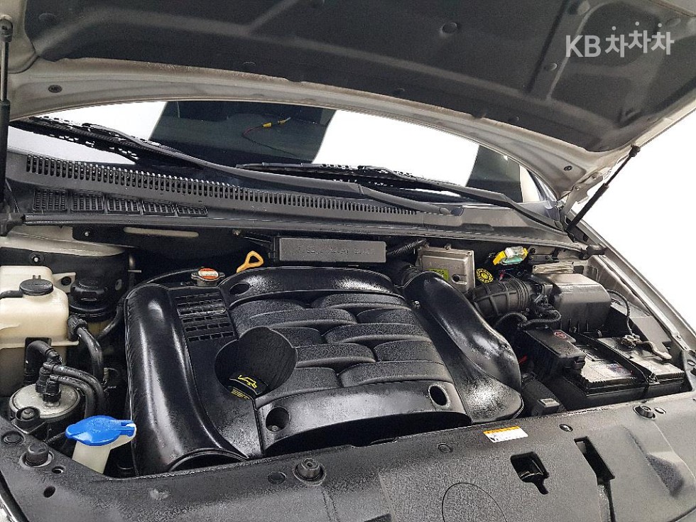 2008 - kia grand carnival