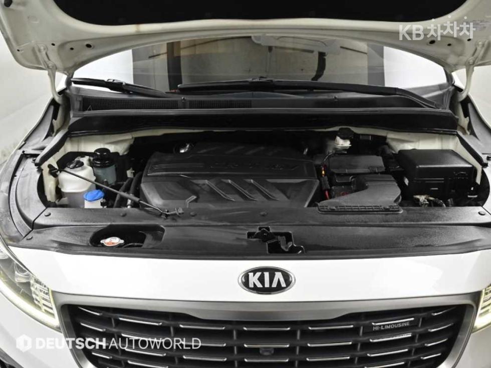 2019 - kia carnival