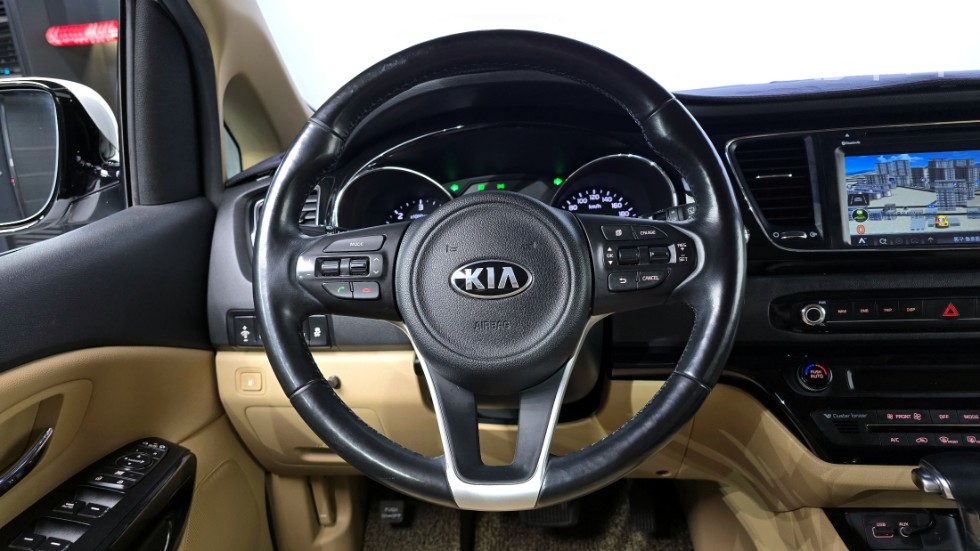 2018 - kia carnival