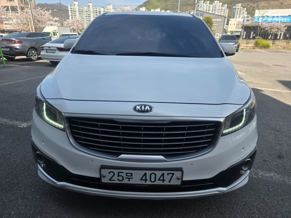 2017 - kia carnival