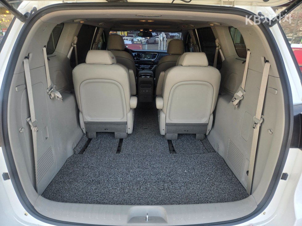 2017 - kia carnival