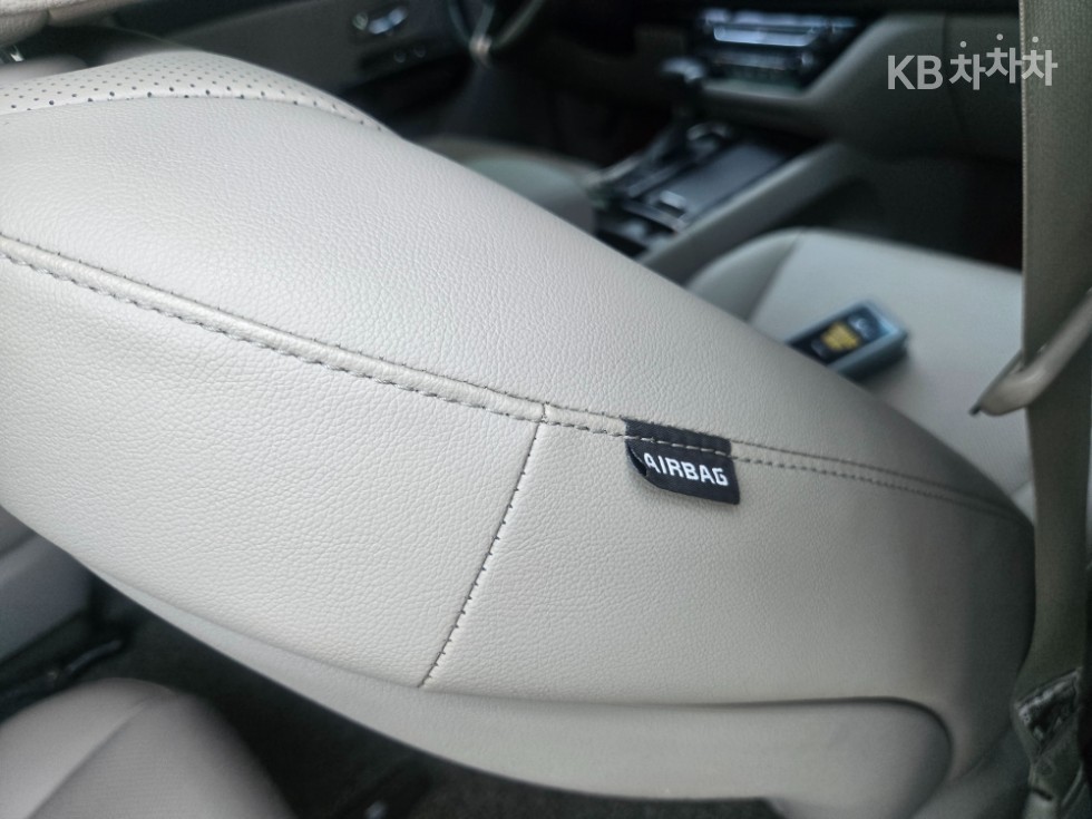 2017 - kia carnival